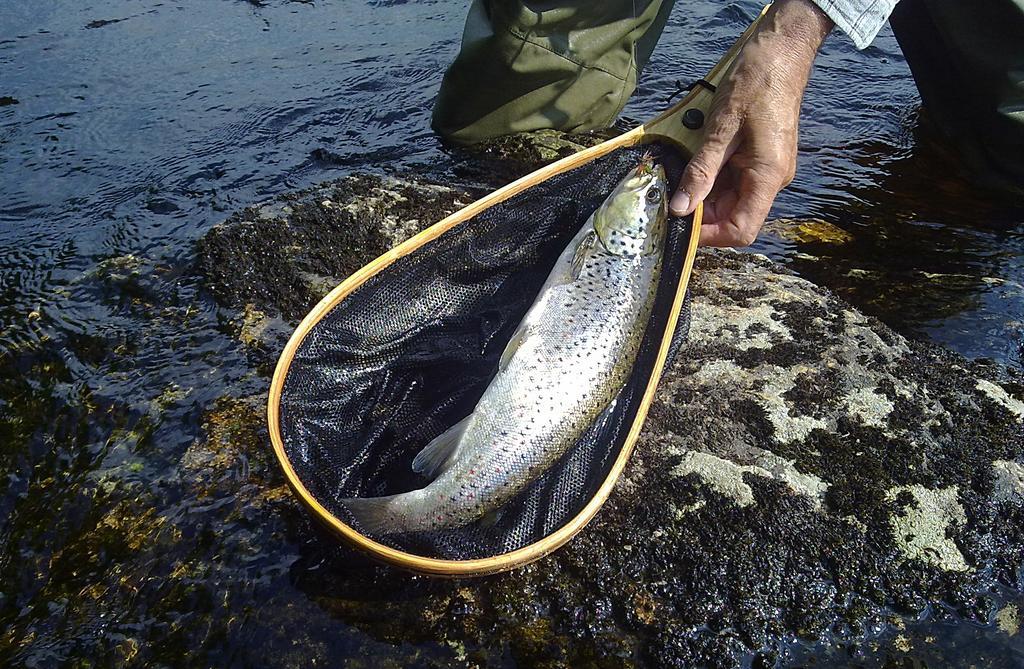 Hotelli Kainuu Kuhmo Exteriör bild