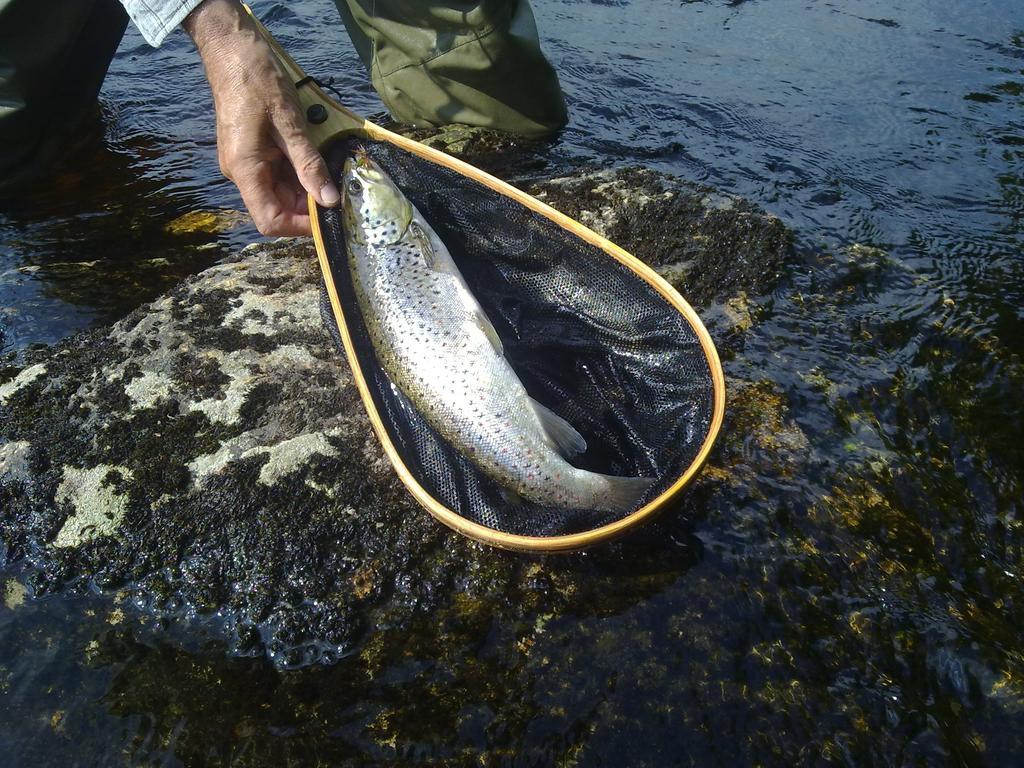Hotelli Kainuu Kuhmo Exteriör bild